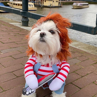 Costume pour animaux de compagnie, combinaison en polyester rayée rouge et blanche, tenue de déguisement pour chien et chat pour la photographie