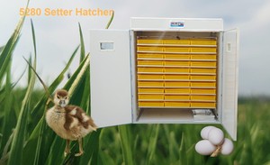 Incubateur multifonctionnel à haute productivité entièrement automatique pour 5280 œufs, vente chaude, pour poulet, caille, canard, dinde, <span class=keywords><strong>volaille</strong></span> - Product Image 5