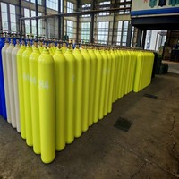 Cilindro de Gas sin Costuras de 47L 150Bar con Válvula, Certificado TPED/CE para Oxígeno, Argón, Dióxido de Carbono, Hidrógeno