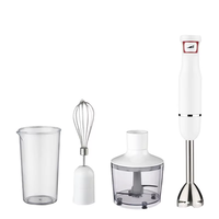 Mini mixeur plongeant sans fil professionnel RSC pour cuisine domestique, puissant et portable, avec fonction presse-agrumes, modèle HB024
