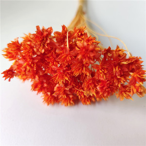 Ghirlanda di Fiori Secchi Ecologica con Fiori della Stelle Brasiliana per Centrotavola Autunnale e del Ringraziamento - Product Image 2