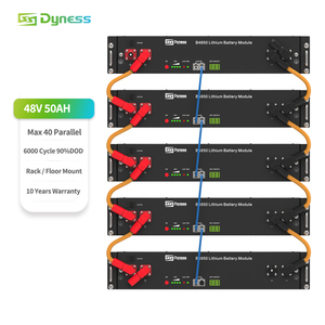 Batería Solar Dyness B4850 de <span class=keywords><strong>3KW</strong></span> para Sistemas Fuera de la Red, con 10 Años de Garantía, LFP 3Kwh 50Ah 48V, Baterías de Litio - Product Image 2