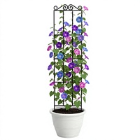Treillis de jardin en fer en gros, support autoportant pour plantes grimpantes, 50 x 15 cm, noir, pour balcon, patio, pot de fleurs, extérieur