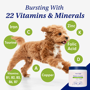 Suplemento multivitamínico <span class=keywords><strong>para</strong></span> mascotas 22 en 1 OEM/ODM con vitaminas A E B12 y antioxidantes <span class=keywords><strong>para</strong></span> la salud inmunológica y articular - Product Image 3
