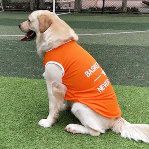 Gilet Estivo Traspirante e Leggero per <span class=keywords><strong>Cani</strong></span>, Abbigliamento Rinfrescante Natalizio per Razze Grandi come Golden Retriever, Labrador, Samoiedo, Border Collie - Product Image 2