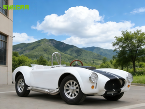 SWICOO Vintage 2200W <span class=keywords><strong>Cobra</strong></span> Mini Car <span class=keywords><strong>Shelby</strong></span> Hot Rod Car Électrique 2200W Mini <span class=keywords><strong>Cobra</strong></span> 2 Places à <span class=keywords><strong>Vendre</strong></span> - Product Image 5