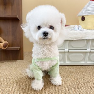 Candy Colored Lace Dog Clothes Solid Polyester <b>Cute</b> Design For Small Medium Dogs Cats Spring Summer Wear - Product Image 1