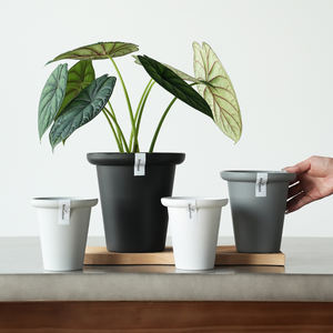 Pots de plantes en <span class=keywords><strong>plastique</strong></span> décoratifs modernes Décoration intérieure Jardinières légères avec des designs emboîtables Vente en gros de pots et jardinières à fleurs - Product Image 5