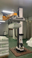 Robot de Desempaquetado de Bolsas de PP/PE de Alta Velocidad |   Brazo Robótico de Alimentación Automática de Materiales |   100-120 Bolsas/H, Totalmente Personalizable