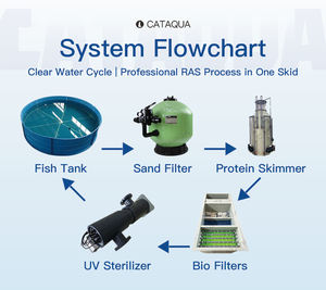 เทคโนโลยีการหมุนเวียนน้ำแบบรีไซเคิลที่ได้รับการรับรองมาตรฐาน CE ของสหภาพยุโรป ให้ผลผลิตสูง ประสิทธิภาพเชื่อถือได้ พร้อมหลักฐานการใช้งานจริง สำหรับการผลิตไข่ปลาสเตอร์เจียนด้วยระบบ RAS - Product Image 6