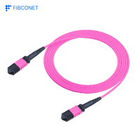 Câble de brassage fibre optique personnalisé 24 fibres OS2 SM MPO vers 2x12 MPO