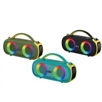 BKK / OEM 20W IPX5 Enceinte portable avec lumière RGB pour fêtes en extérieur