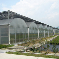 YGreenhouse Agriculture Serre Verte Tomate Hydroponique Film Plastique Couvert Serre