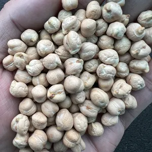 Wholesale Price 25kg 50kg 500g Package 7mm - 9mm Dried Kabuli Garbanzo Beans Chick Pea Chickpeas