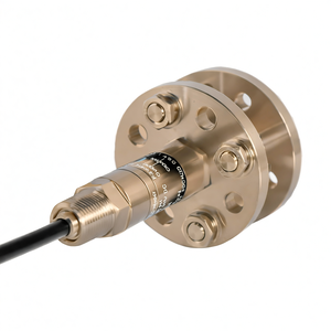 Sensor de Nivel de Aguas Residuales Sumergible de Acero Inoxidable 4-20mA 0-10V IP68 0-100m con Control Remoto - Product Image 3