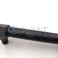 Injektor Bahan Bakar Berkualitas Tinggi Terlaris Baru 55510310 Injektor Bahan Bakar Diesel untuk Peralatan Pengujian