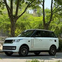 Wenqi Factory Direct StockFactory Wholesale Luxury EV SUV Electric Car Hot Selling New Energy Vehicle Four Wheels Household U