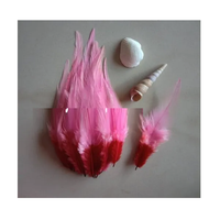 Plumes d'oiseaux naturelles longues et pointues bicolores Soraj Enterprises, artisanat de luxe fait main pour projets artistiques DIY, mariages, fêtes et décoration intérieure