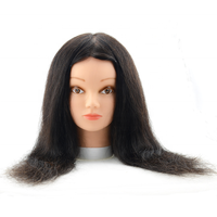Tête d'entraînement/tête de mannequin tête d'entraînement nouvelle tête d'entraînement de coiffure/tête de mannequin