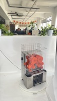 Professionele industriële fruitpers voor citroenen en sinaasappels met kernmotoronderdeel
