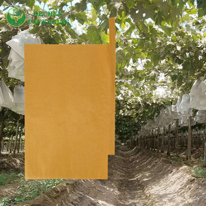 Fruit 20*30 Water Proof Coated With Wax Micropore Paper Protection Cover Bag For Table Grape Growing Fruit 20*30 Water Proof Coated With Wax Micropore Paper Protection Cover Bag For Table Grape Growing