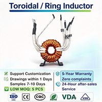 Inducteur toroïdal personnalisé OEM ODM, bobiné en cuivre, montage vertical, fils radiaux, de 27 mm à 80 mm pour convertisseur de fréquence