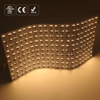 Raymates 600 LEDs WS2811 SMD2835 Feuille de Lumière 500x250mm 80W 3M Adhésif Programmable Dynamique Couleur Flux Chase Effet Hôtel Moderne