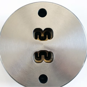 Matriz de Extrusión de Cavidades de Alta Dureza para Producción de Perfiles Semi-Huecos de Forma Especial, Modelo <span class=keywords><strong>Huayi</strong></span> 116 - Product Image 1