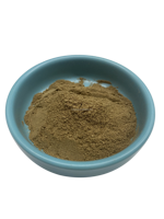 Extrait de Cnidium Monnieri 60% Osthole HPLC Extrait de plante naturelle