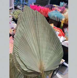 Vente en gros de feuilles de <span class=keywords><strong>palmier</strong></span> séchées tropicales naturelles fleurs éternelles <span class=keywords><strong>éventail</strong></span> de feuilles de <span class=keywords><strong>palmier</strong></span> séchées pour la décoration de la maison de mariage - Product Image 2