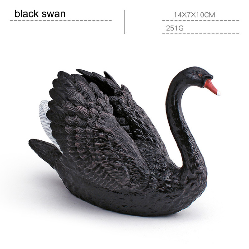 cygne noir