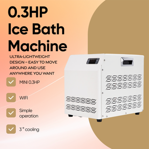 IJsbadmachine 1/3pk 460W Professionele Kleine Waterkoeler Afstandsbediening <span class=keywords><strong>Mini</strong></span> Compressor R290 Filterpomp RVS - Product Image 2