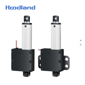 DC12/24V 小型齿轮电机 永磁 10-200mm 行程 100N 负载 有刷电机 家用电器风扇 19mm 框架柜窗 - Product Image 1