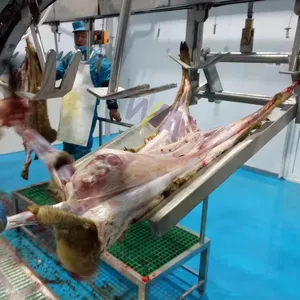 Sheep Abattoir Equipment Lamb Slaughter Machine Slaughtering Line Carcass Skinning Machine For Slaughterhouse