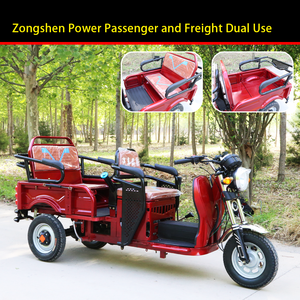 Triciclo a benzina per famiglie piccole signore anziani e bambini Pick-up & Walk corpo chiuso per Cargo & auto - Product Image 4