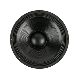 15 inch 500W RMS Pro loa âm thanh PA Sub Woofer - Product Image 1