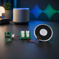 Module de lecture vocale AI Zetok AIM01 avec haut-parleur pour kits de démarrage - Projets d'éducation STEM