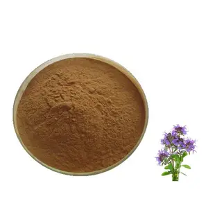 Wholesale Thymus Mongolicus Extract Thymus Mongolicus Extract Powder