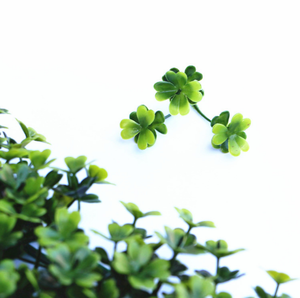 Hệ Thống Trang Trí Tường Xanh Lá Cây Tấm Dọc Cây Rêu Cỏ Nhân Tạo Bằng Nhựa Cây Leo Gỗ Hoàng Dương Hàng Rào Cỏ Trong Nhà - Product Image 3