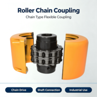 Couplage flexible à chaîne à rouleaux en acier SFS, non standard, garantie 1 an, personnalisation OEM, achat en gros disponible