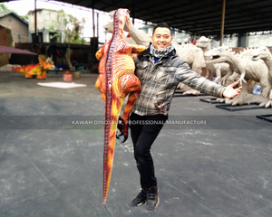 หุ่นมือไดโนเสาร์เหมือนจริง ทำตามสั่ง หุ่นมือไดโนเสาร์สำหรับเด็ก รุ่นเบบี้ไดโน เวโลซีแรปเตอร์ - Product Image 6