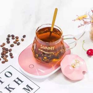 แก้วเซรามิกอุ่นน้ำ/กาแฟแบบไฟฟ้า ดีไซน์ทันสมัย หรูหรา ผนังสองชั้น เป็นมิตรกับสิ่งแวดล้อม พร้อมพอร์ต USB สำหรับแคมป์ปิ้ง - Product Image 6