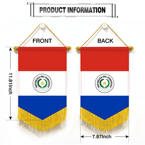 Wholesale Mini Pennant Car Flags 20x30cm Paraguay Wall Decor <b>Small</b> <b>Ornaments</b> Hanging Digital Printing Satin Material - Product Image 4