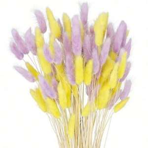Yow and Purple Bun Tails Flores Secas, 100 Piezas de Colas de Hierba de Pampas de 17 Pulgadas, Flores de Lagurus Ovatus, Flores de Pascua, Floral - Product Image 1