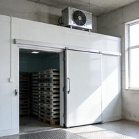 Conteneur de stockage frigorifique commercial 2025 à prix d'usine, congélateur rapide 20 pieds/40 pieds, unité de réfrigération