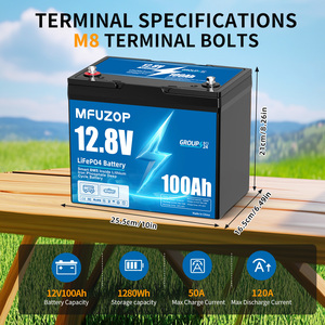 EU USA在庫発送 <span class=keywords><strong>12V</strong></span> 100Ah LiFePO4バッテリー リチウムバッテリー 内蔵100AスマートBMS、RV、キャンプ、釣り用 DATOUBOSS - Product Image 3