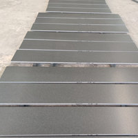 Carreaux de granit noir absolu naturel de qualité supérieure pour sol extérieur moderne