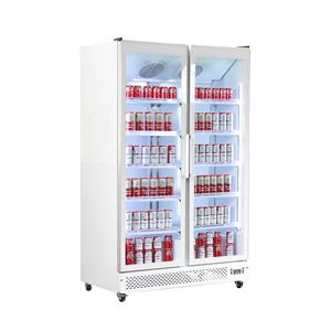 Réfrigérateur commercial vertical à porte vitrée pour boissons, bières fraîches et présentoir floral - Product Image 2