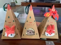 Chaussettes de Noël pour femmes avec motif d'animaux mignons, chaussettes en velours corail 3D moelleuses et épaisses pour l'hiver, avec boîte