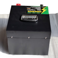 Batterie au lithium rechargeable 48V200Ah pour trottinette électrique, couleur personnalisée, style unique, texture premium et personnalisation sur mesure